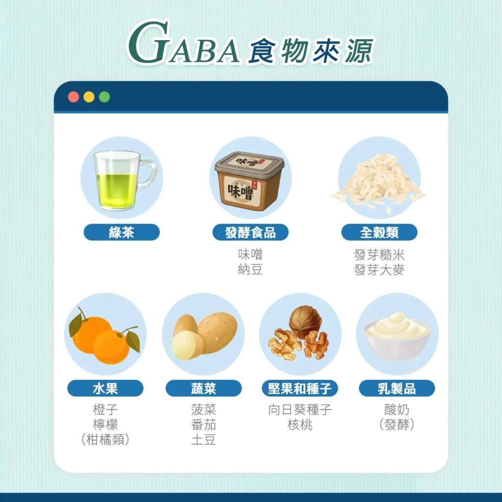 GABA食物來源