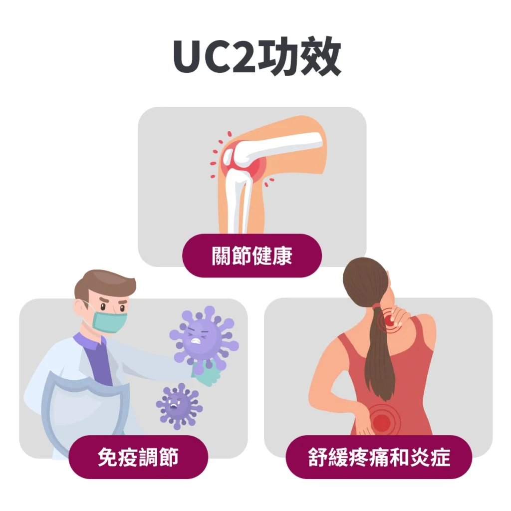 UC2是什麼？